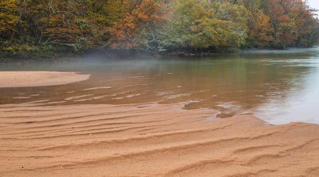 Banks of the Chattahoochee River, Georgia
