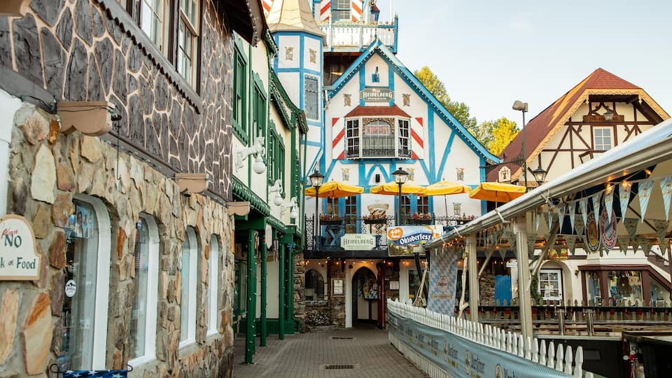 A narrow street with traditional European architecture, including a building with a sign reading "The Heidelberg."