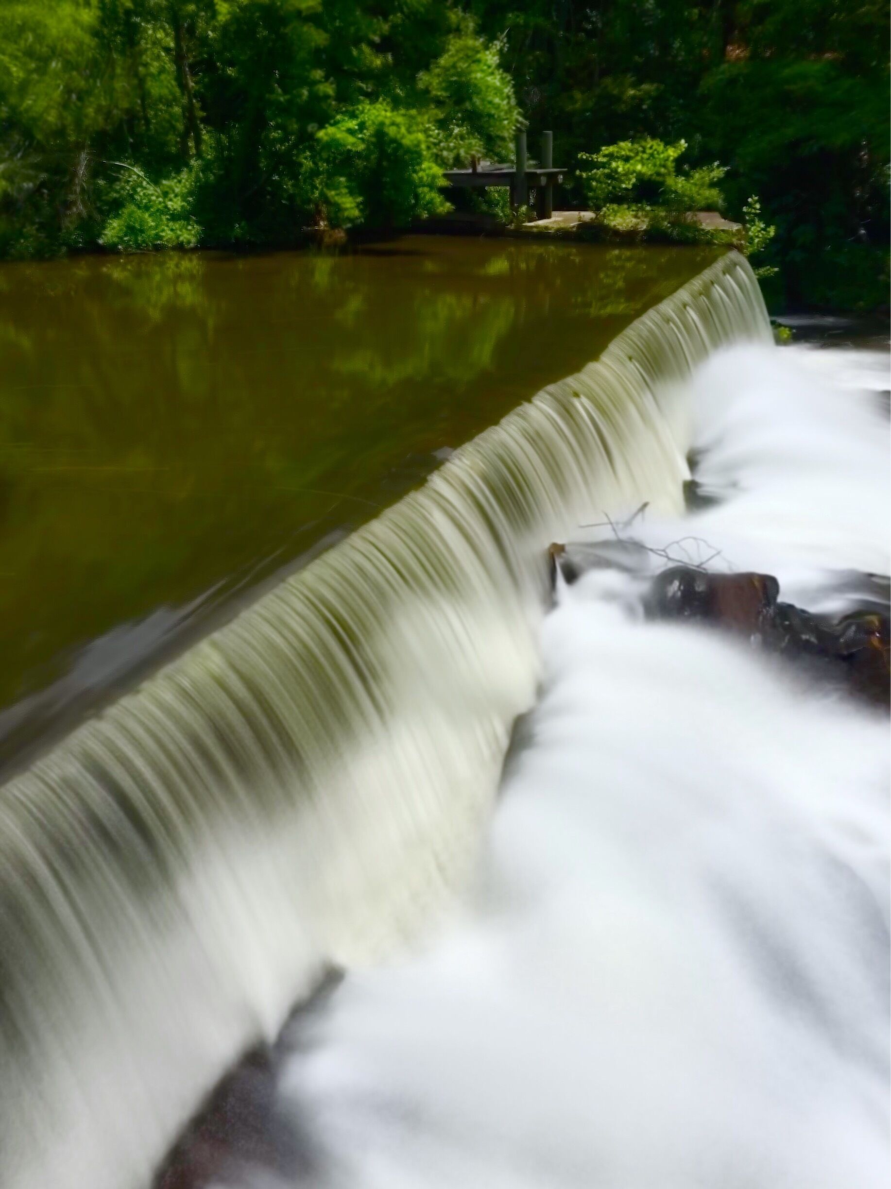 The photo says it all and the mill is a neat place to visit.