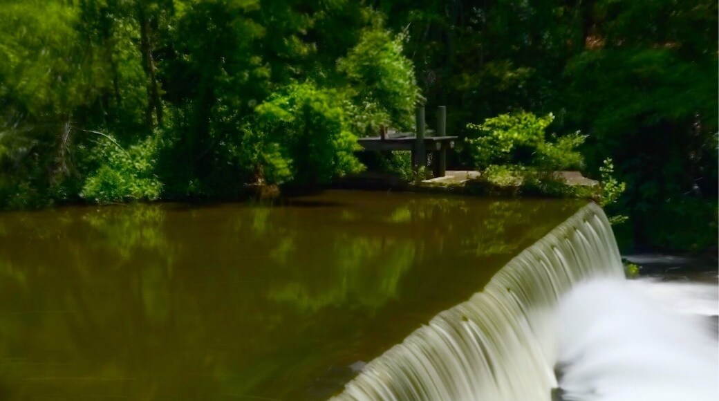 The photo says it all and the mill is a neat place to visit.