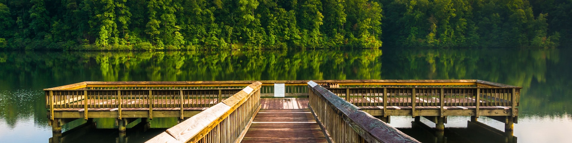 Un muelle de madera se adentra en un lago tranquilo, rodeado de un denso bosque verde.