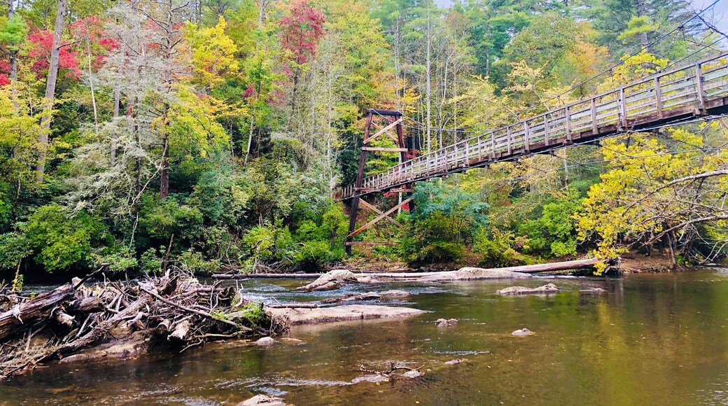 Must see. The fall colors are gorgeous. Long dirt road to the entrance and short hike to bridge.