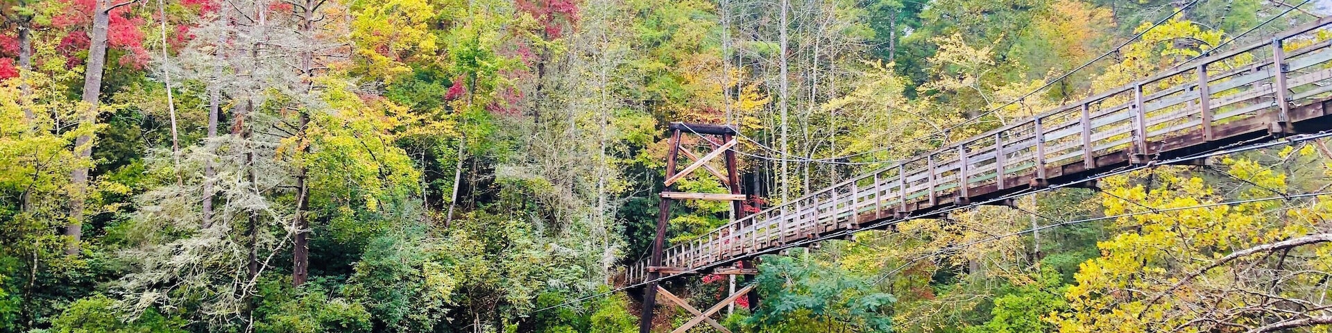 Must see. The fall colors are gorgeous. Long dirt road to the entrance and short hike to bridge.