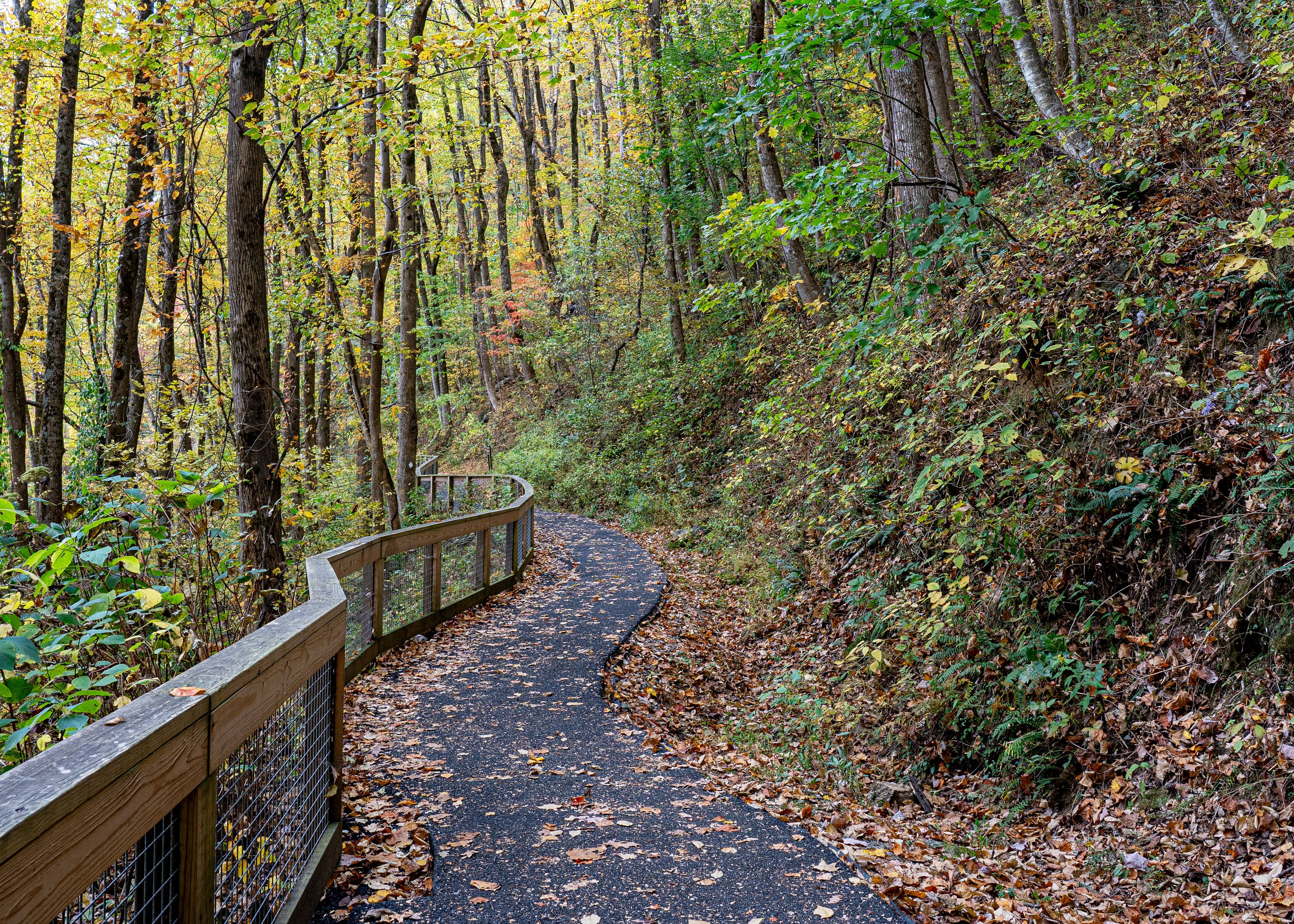 The West Ridge Falls Access Trail is an ADA-compliant pathway that leads to a scenic viewpoint of the waterfall. It is made of recycled tire material and has a wood handrail. Photographed in autumn.