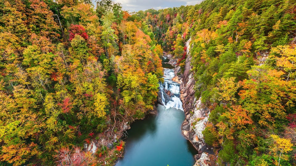A waterfall surrounded by autumn-colored trees.