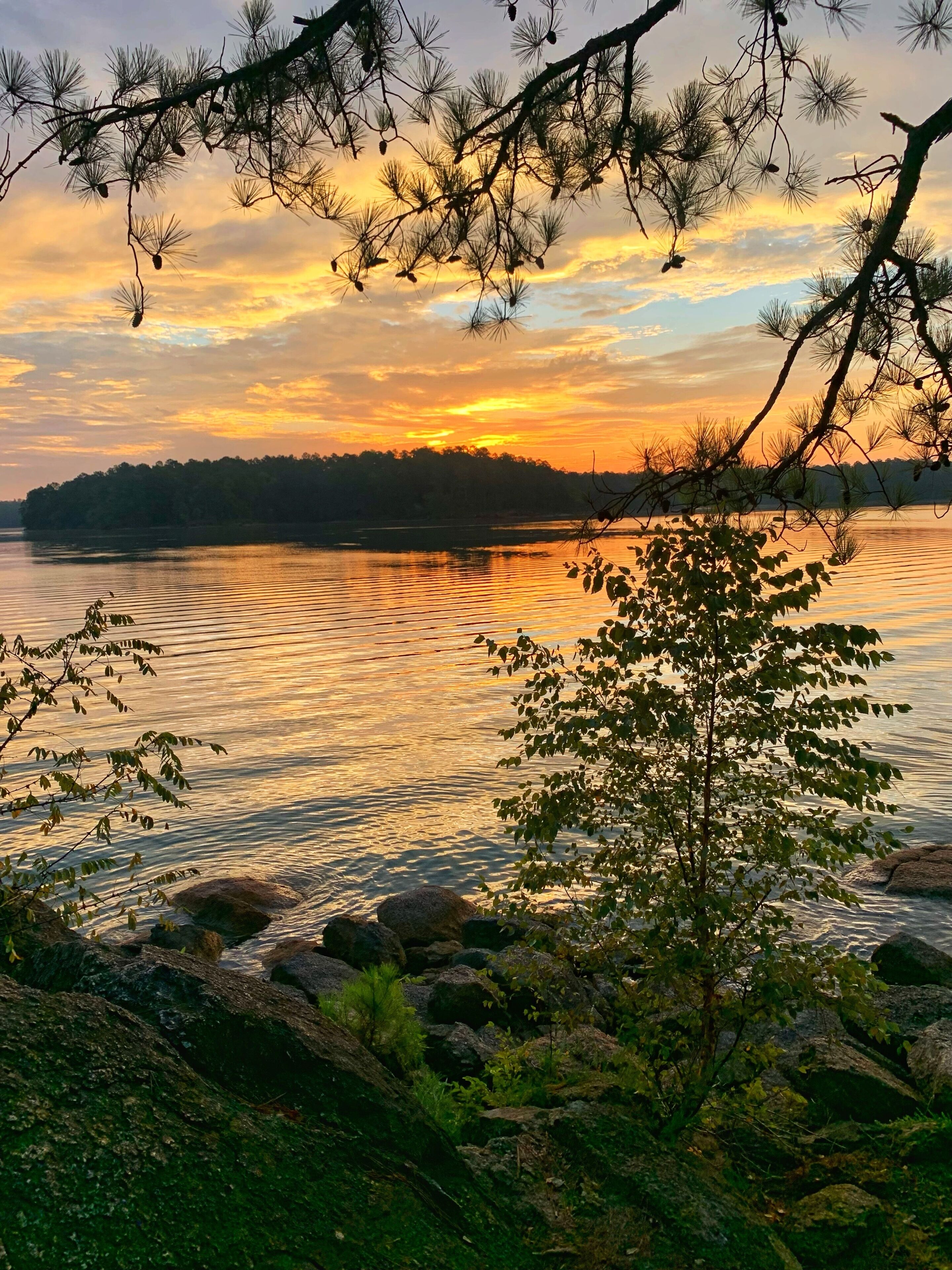 Sunrise over Lake Allatoona captured from the White Trail at Red Top Mountain State Park peaceful scene of serene waters, rocky shoreline, and silhouetted trees against a vibrant orange