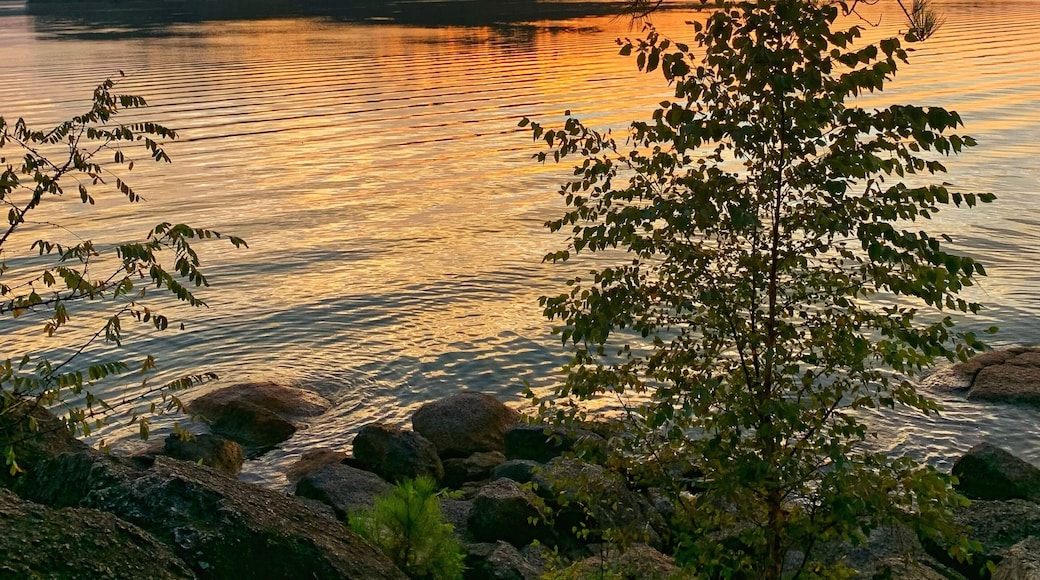 Sunrise over Lake Allatoona captured from the White Trail at Red Top Mountain State Park peaceful scene of serene waters, rocky shoreline, and silhouetted trees against a vibrant orange