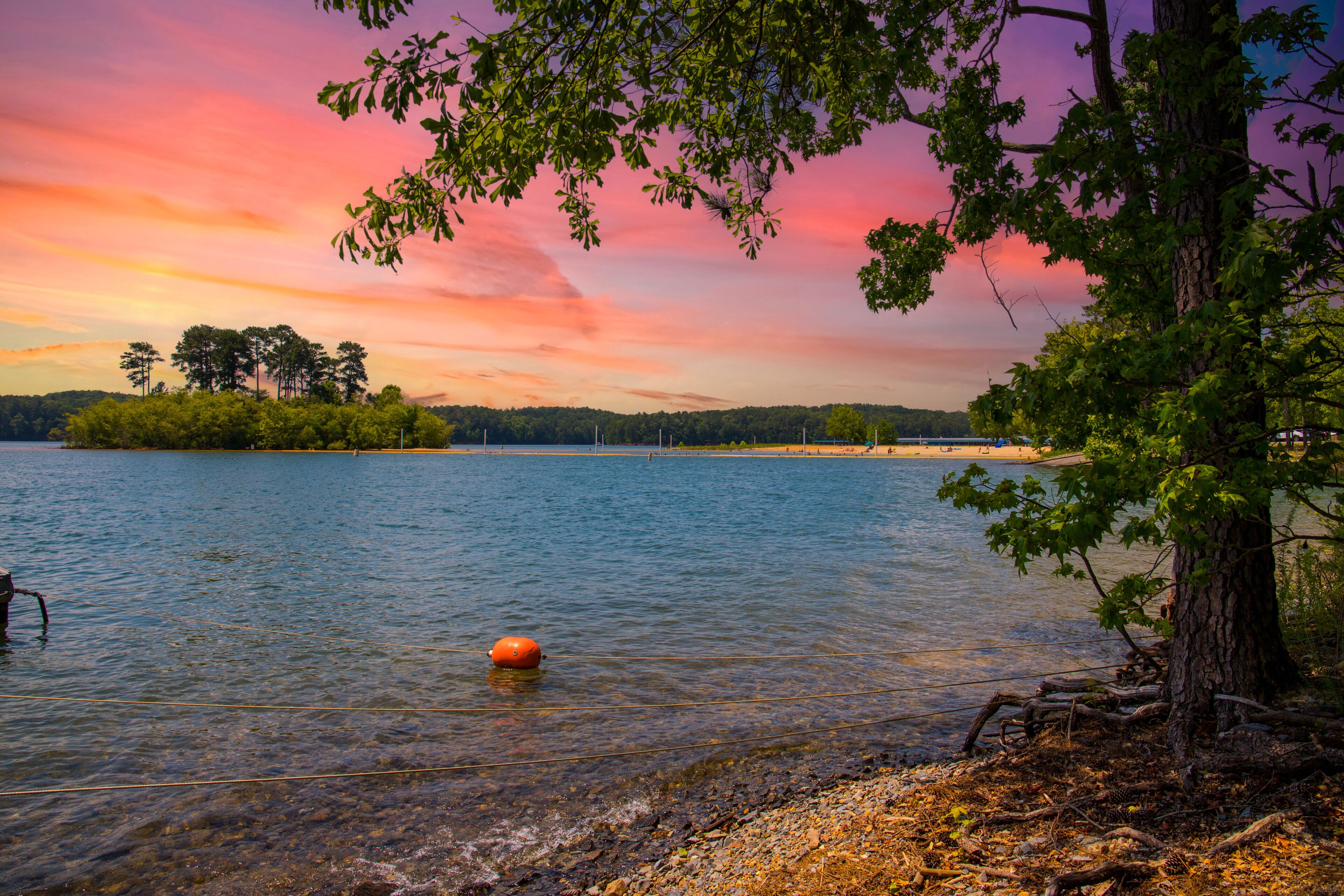 a gorgeous summer landscape at Lake Allatoona with rippling blue lake water surrounded by lush green trees, grass and plants with powerful clouds at sunset at Victoria Beach in Acworth Georgia USA