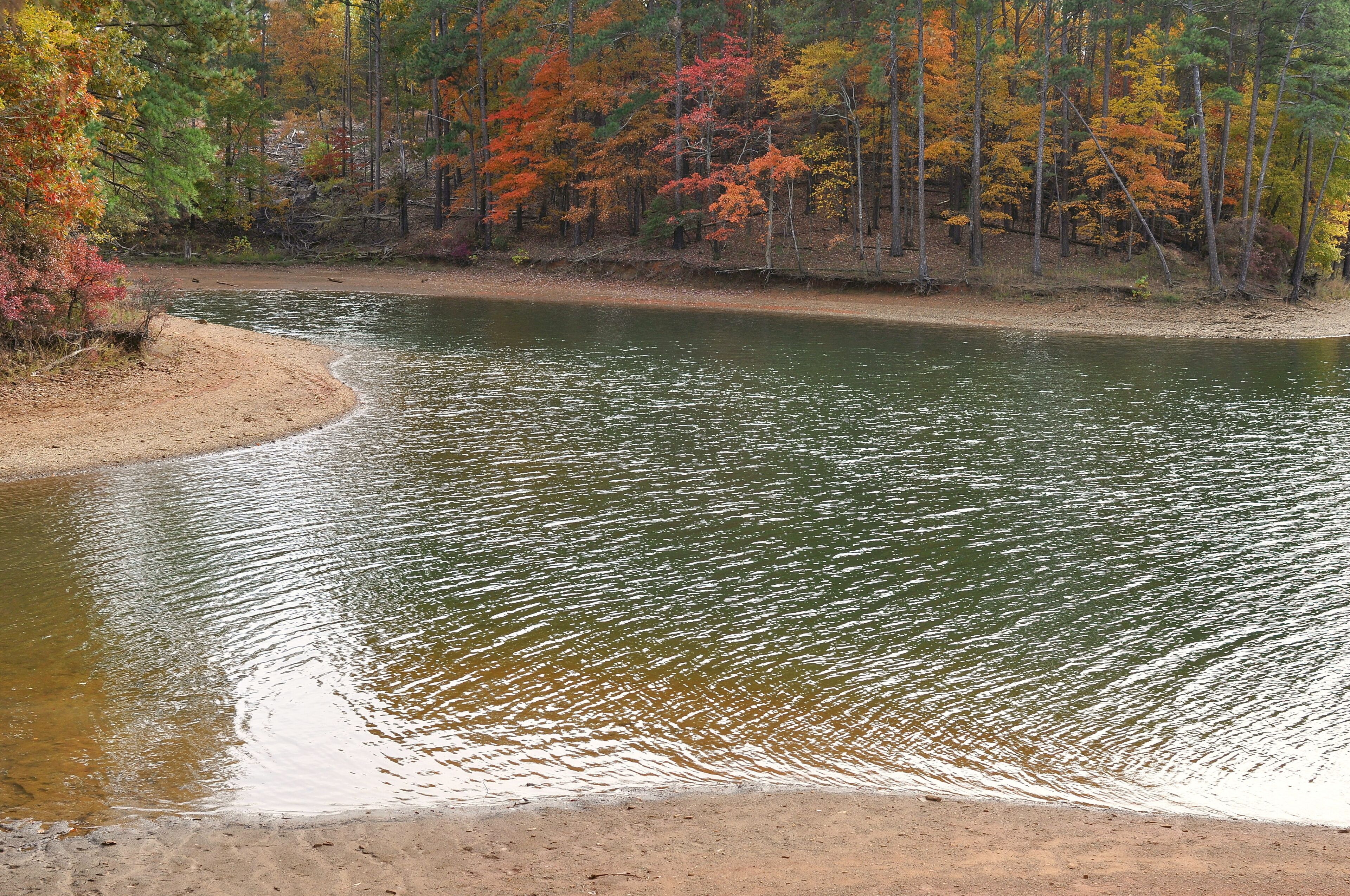 Landscape of a tree lined lake in Autumn with Fall colors