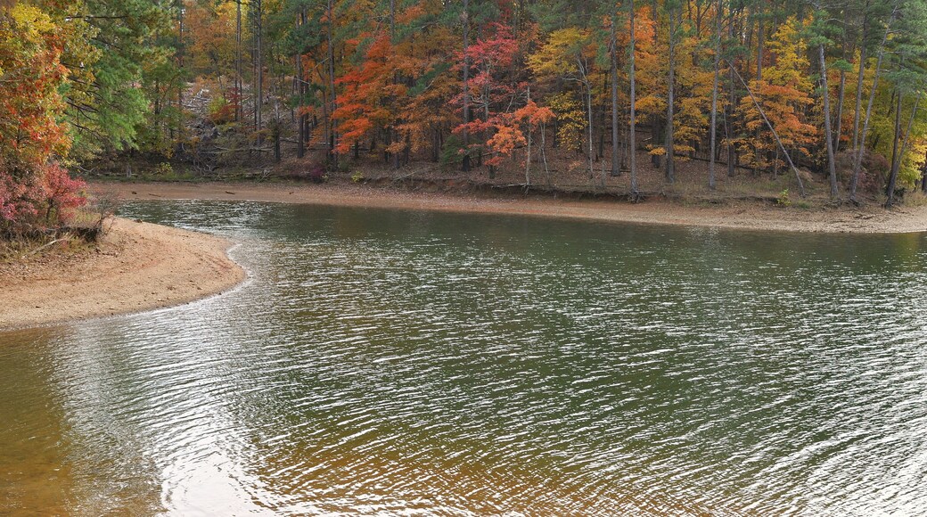 Landscape of a tree lined lake in Autumn with Fall colors