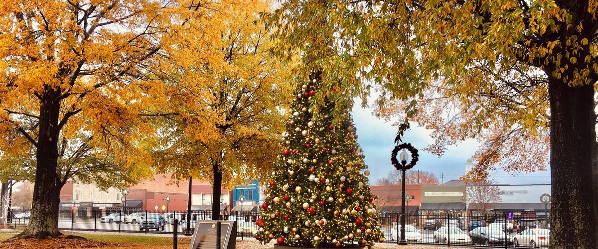Tucked besides I-75, in the foothills of Appalachia, is the cute town of Cartersville. Home of two great museums: Booth Western and Tellis Science Museums. Sherman burnt his way through the south headed to Atlanta, but bypassed this county seat. Full of history, wonderful and education: a hidden gem!
#Trovember