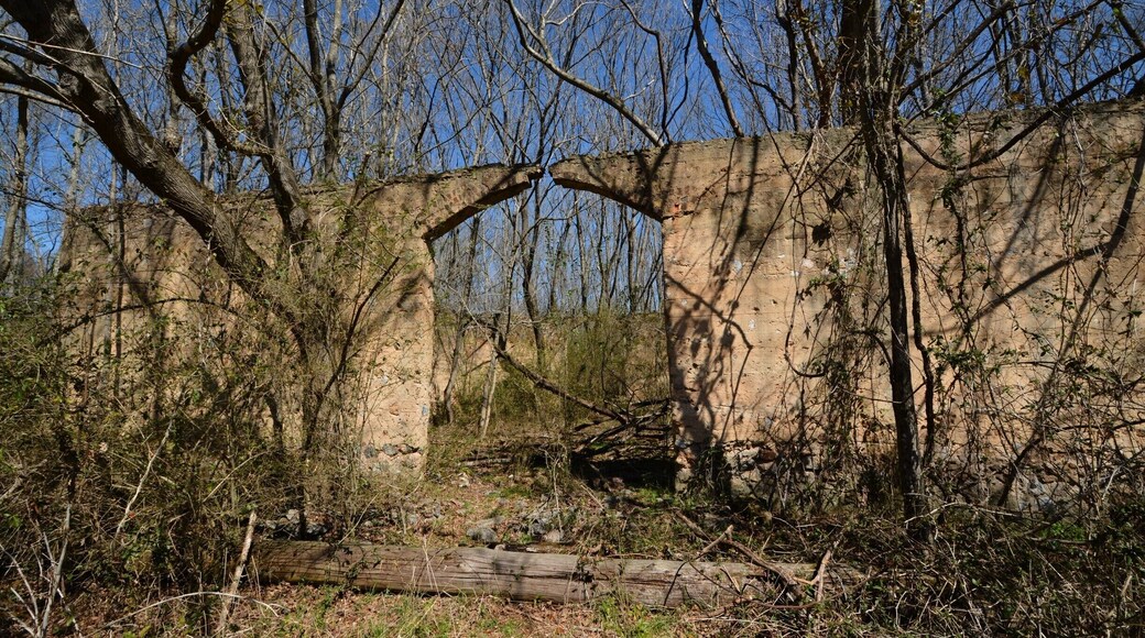 Ruins of cotton warehouse near Cass Station.