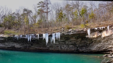Lula Lake Land Trust, Lookout Mountain, Georgia. Icicles hang from the cliffs surrounding the beautiful aqua-blue water of Lula Lake, which is fed by Rock Creek.