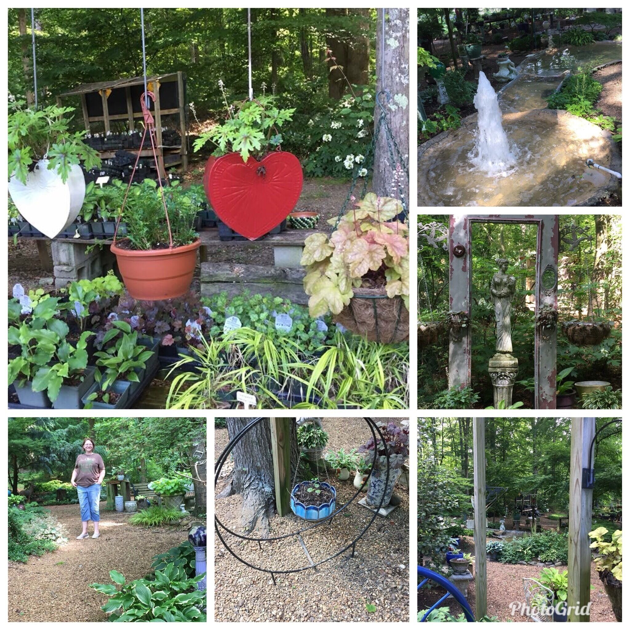 This is an awesome little botanical garden. Ruby (creator and owner) is so sweet and greets you when you pull in. I only have a few pictures that likely does it no justice.  Enjoy the gardens and purchase plants.  

http://www.chattanoogahosta.org/bethlehem.html
