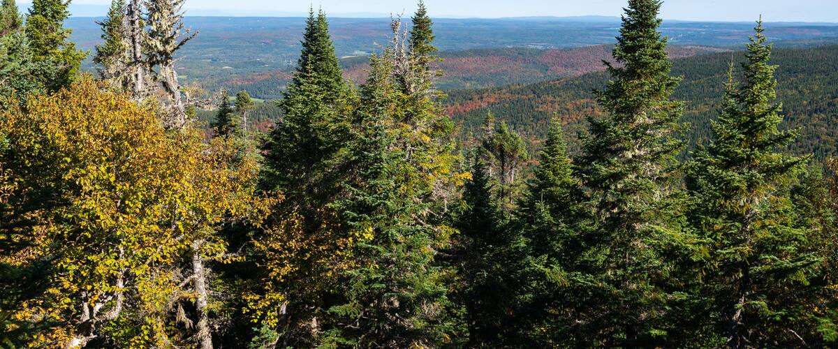 View of the regional park of the Massif-du-Sud (Saint-Philemon, Chaudiere-Appalaches Quebec, Canada)