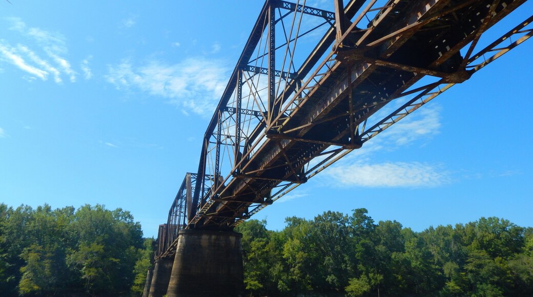 Beautiful rusted abandoned train bridge ruin crosses over the Altamaha River in South Georgia