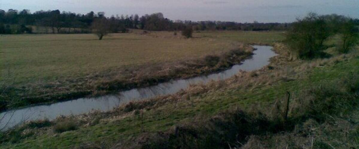 A rural landscape with a narrow water channel, open fields, and a line of trees in the distance.