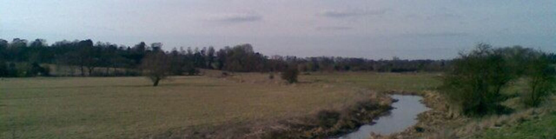 A rural landscape with a narrow water channel, open fields, and a line of trees in the distance.