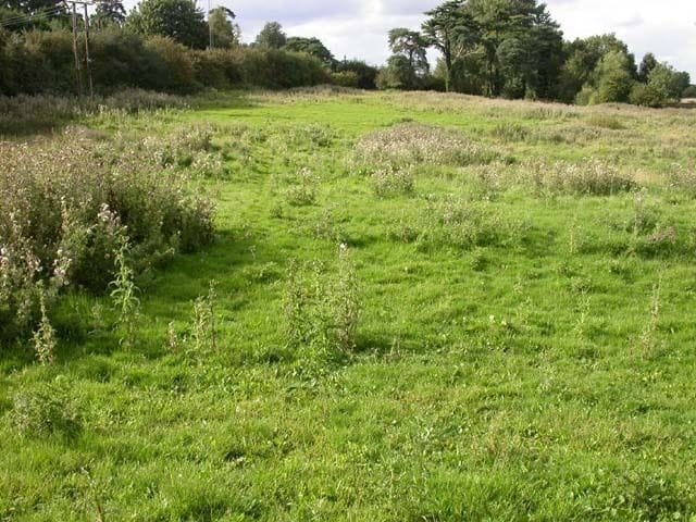 Footpath through Meadow. Between Pitsford Road, Chapel Brampton and the Brampton Valley Way.