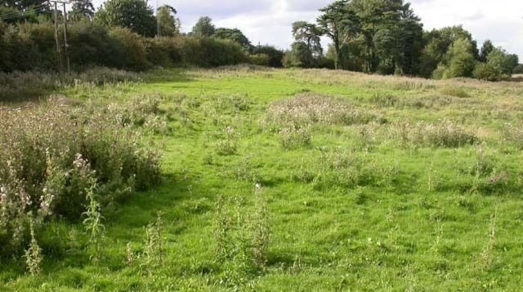 Footpath through Meadow. Between Pitsford Road, Chapel Brampton and the Brampton Valley Way.
