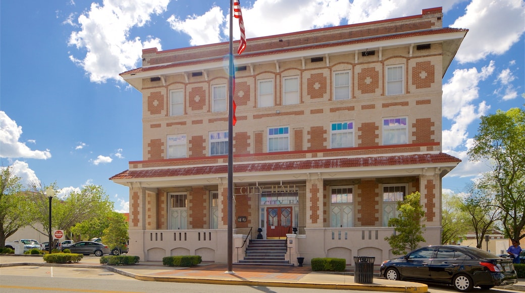 Waycross que incluye patrimonio de arquitectura