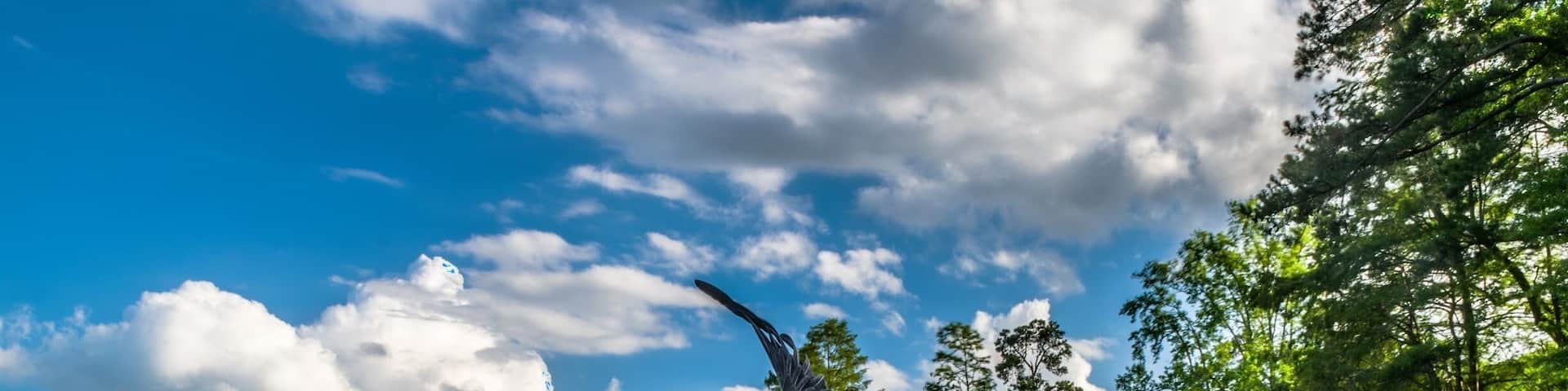 Swan wing statue at the Swan Lake park in SC. The only public park in the United States to feature all eight swan species, Swan Lake-Iris Gardens is also home to some of the nation's most intensive plantings ...