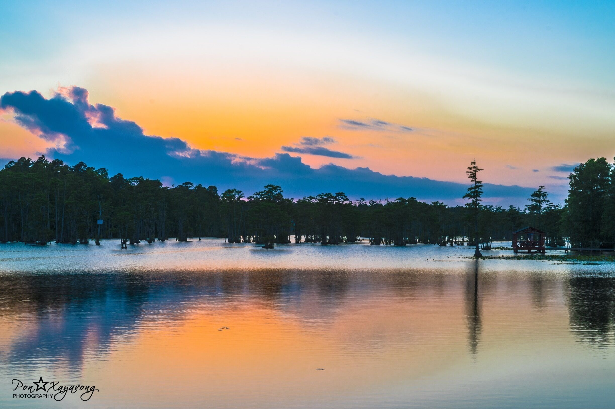 Sunset at Second Mill Pond.
Second Mill Pond is a large pond in southwest Sumter with many beautiful homes built around it.  #goldenhour