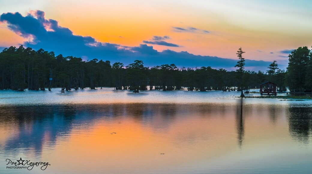 Sunset at Second Mill Pond.
Second Mill Pond is a large pond in southwest Sumter with many beautiful homes built around it. #goldenhour