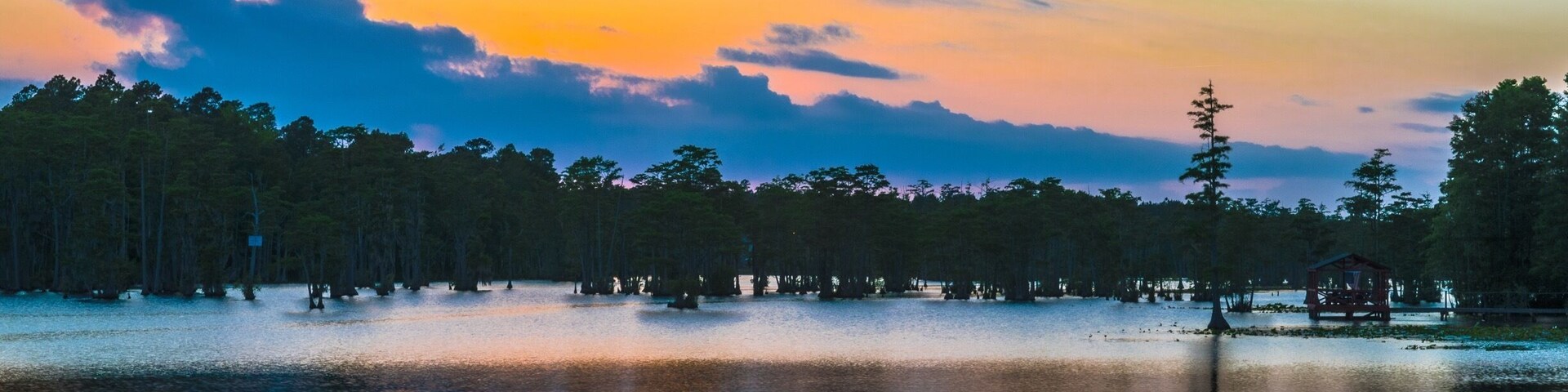 Sunset at Second Mill Pond.
Second Mill Pond is a large pond in southwest Sumter with many beautiful homes built around it. #goldenhour