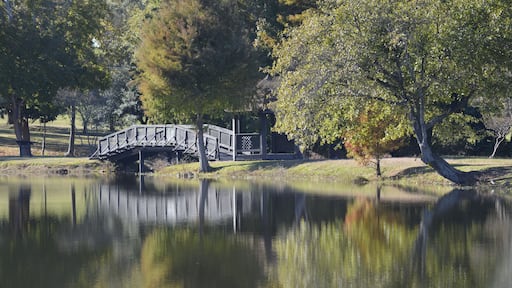 Sumter