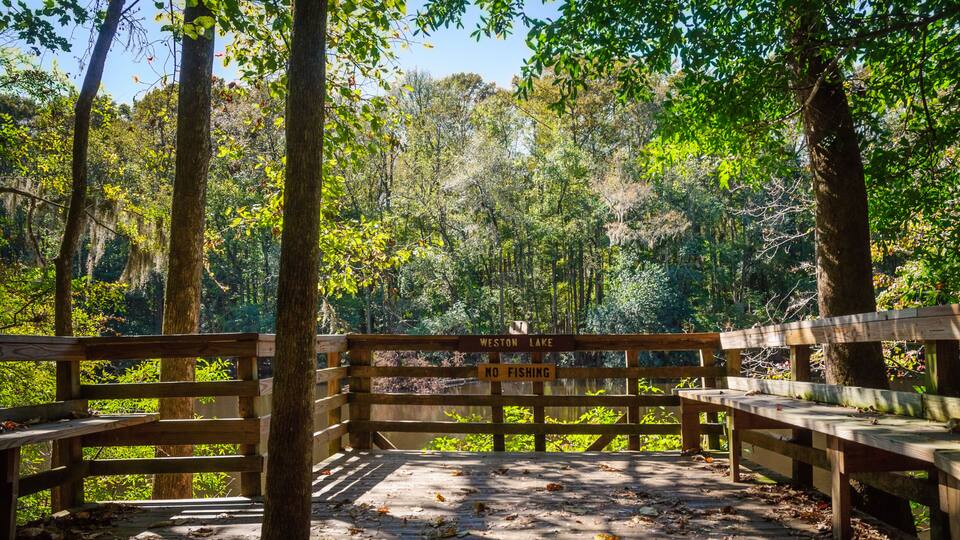 Congaree National Park