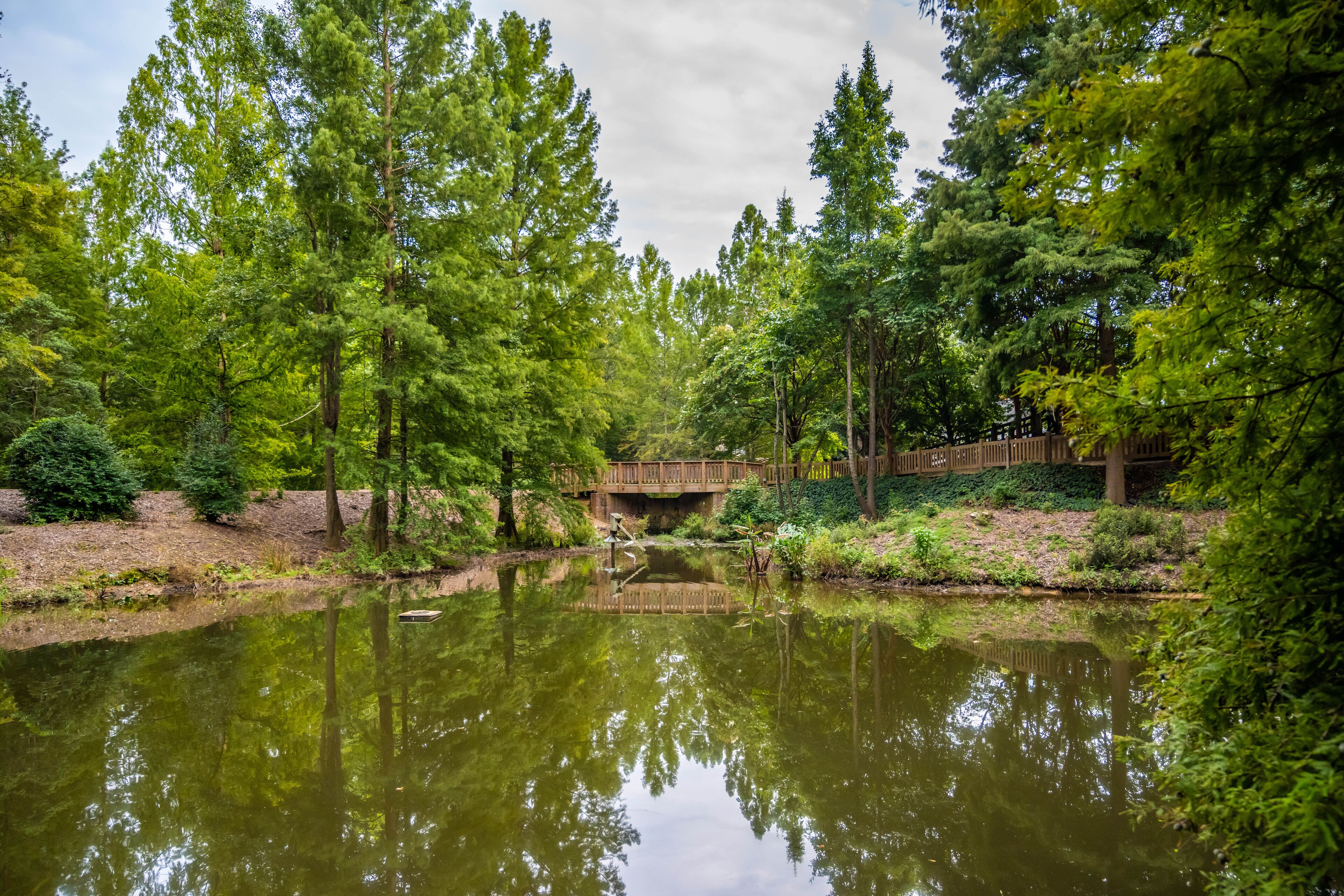 An overlooking view of nature in Aiken, South Carolina