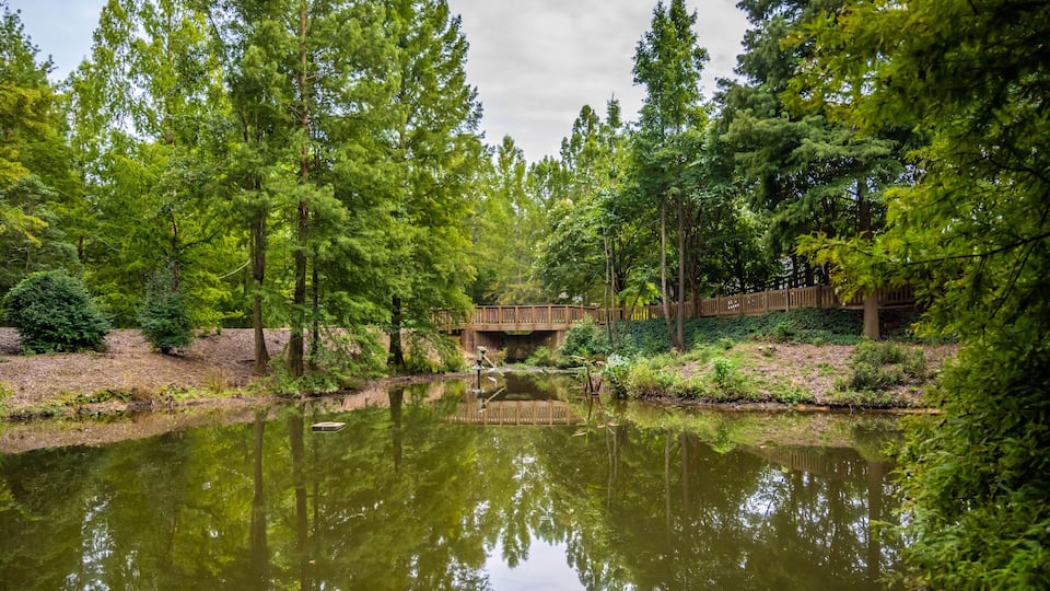 An overlooking view of nature in Aiken, South Carolina