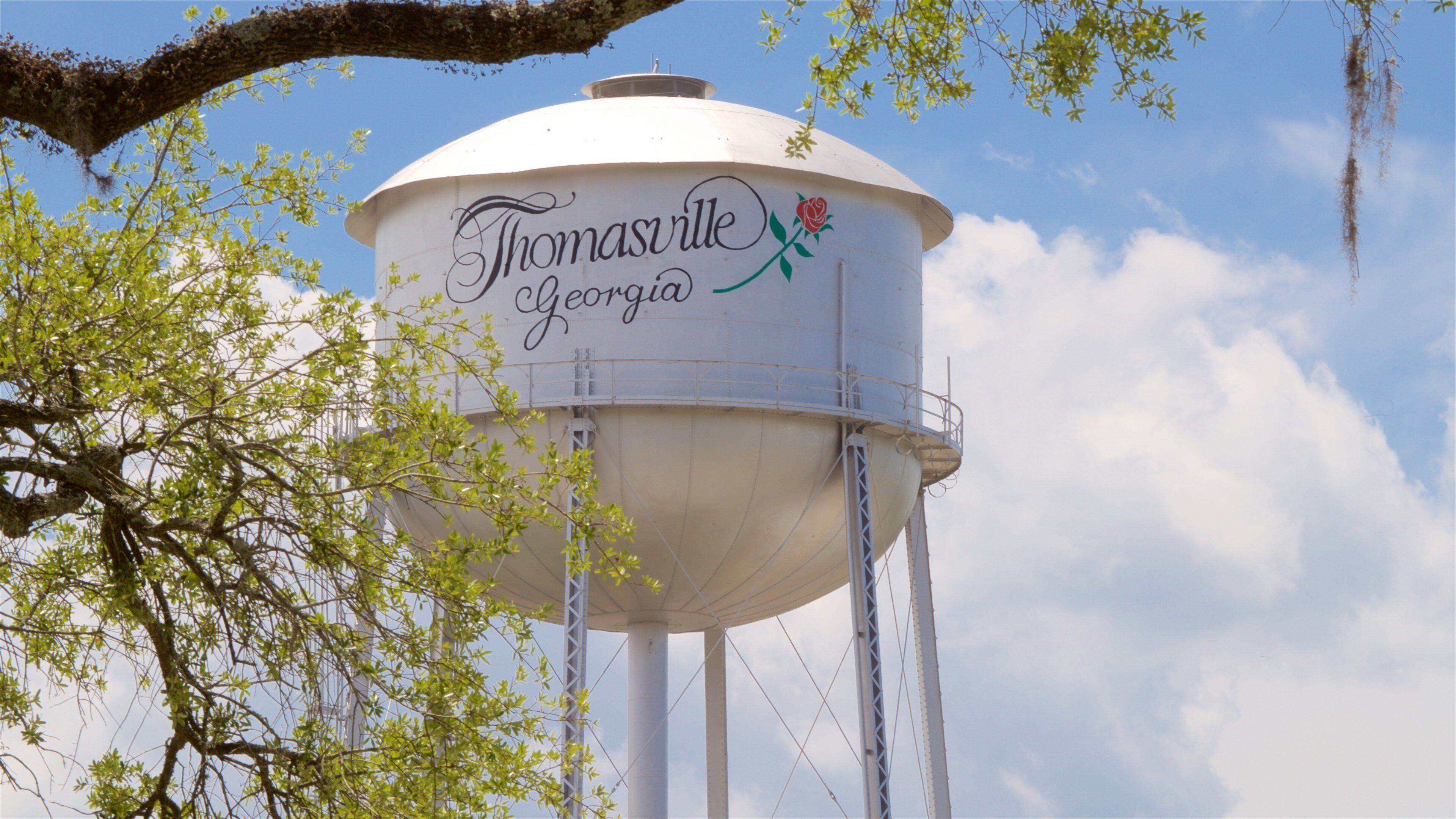 A water tower with the inscription "Thomasville Georgia" and a rose decoration.