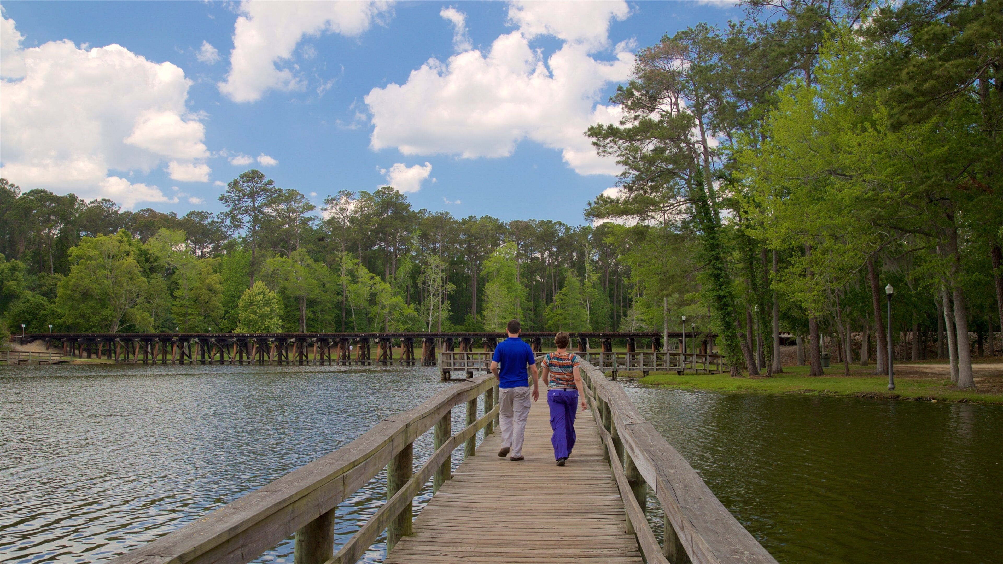 A wooden pier extending over a calm lake, surrounded by dense green trees and a clear blue sky.