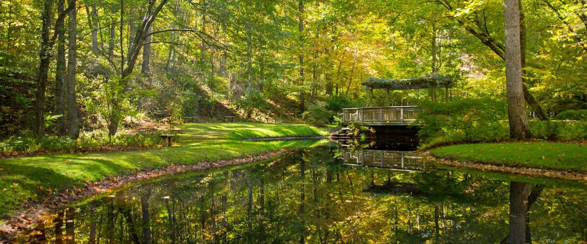 A serene pond surrounded by lush greenery, a wooden bridge, and a gazebo.