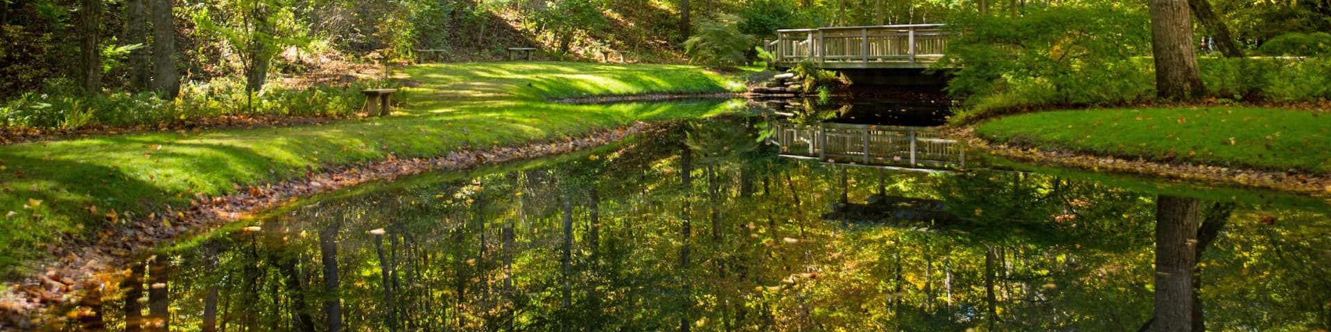 A serene pond surrounded by lush greenery, a wooden bridge, and a gazebo.