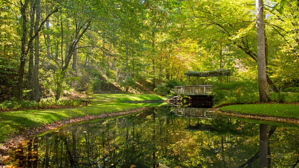 Gibbs Farm Georgia