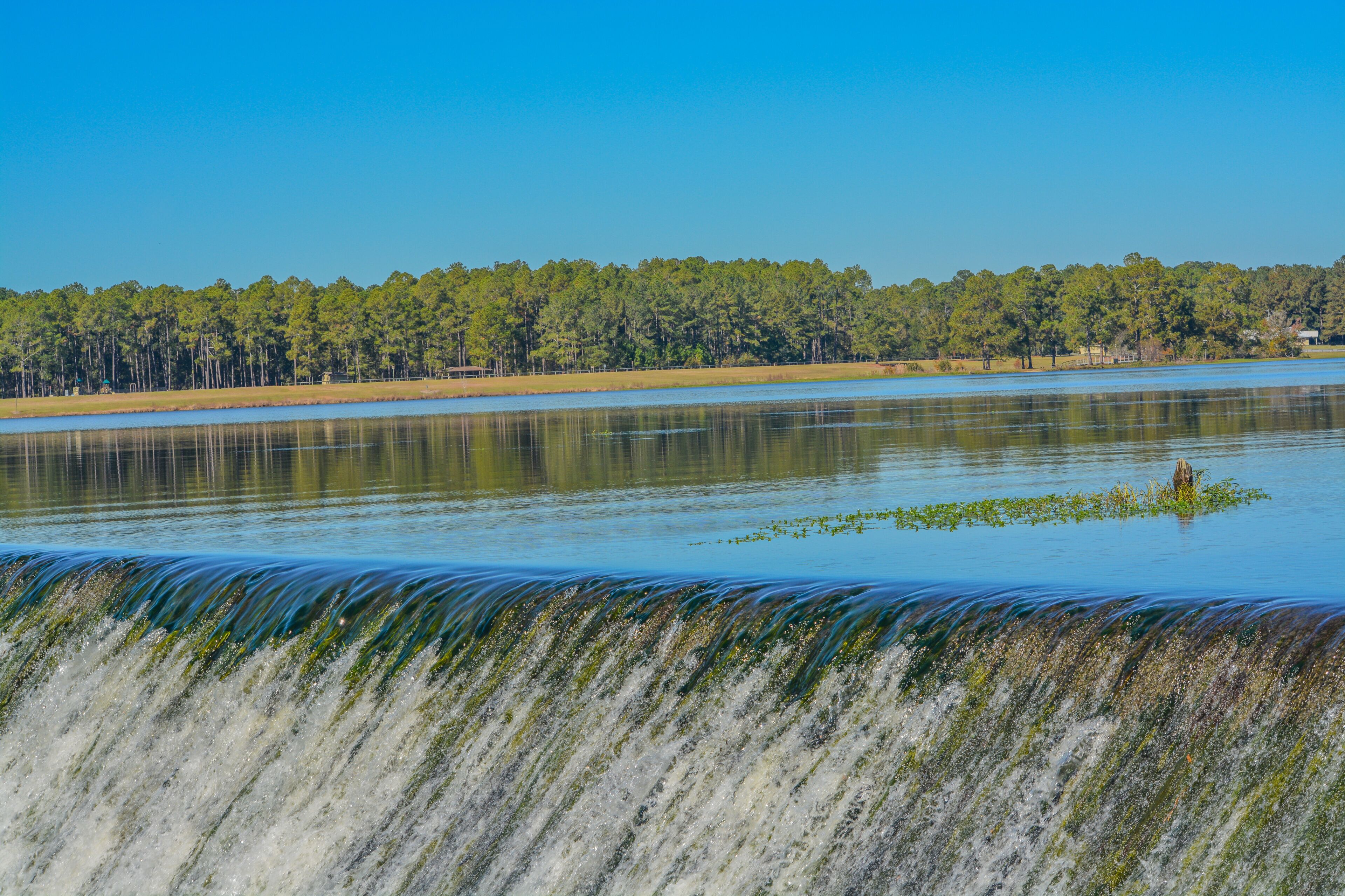 The Reed Bingham Lake and Waterfall into the Little River at Reed Bingham State Park in Adel, Colquitt County, Georgia