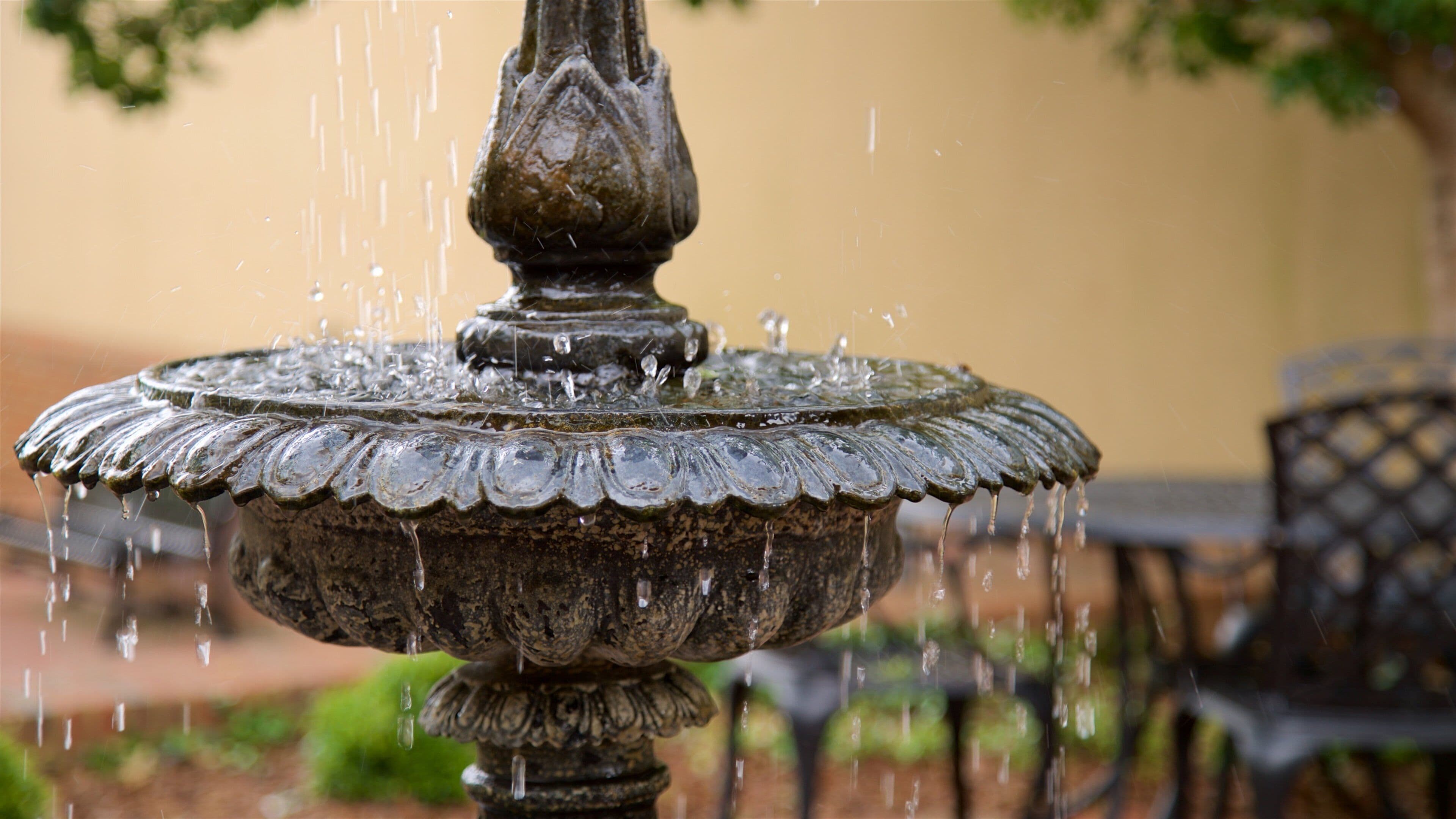 Tifton qui includes fontaine