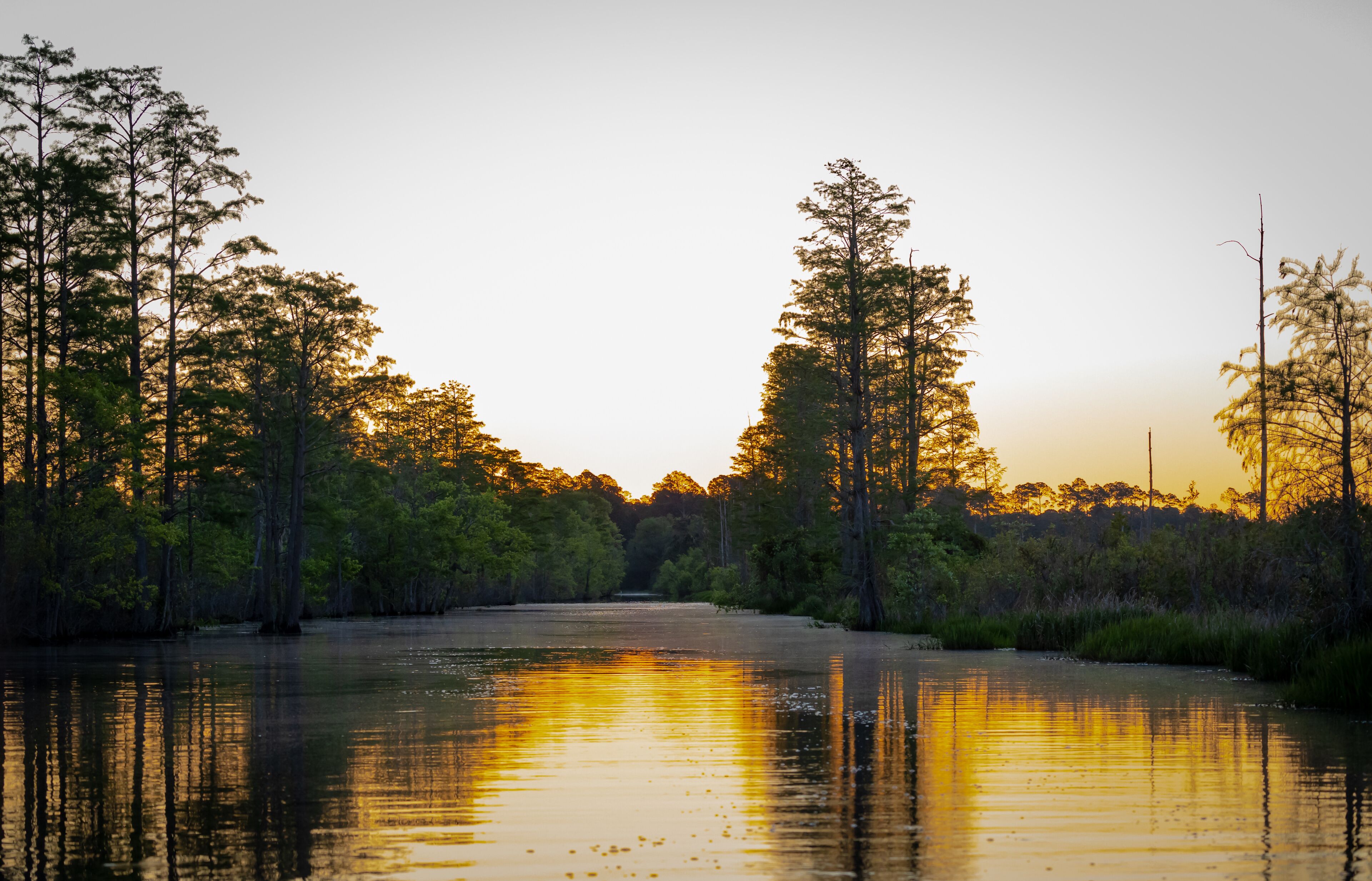 Un río reflejando árboles y cielo al atardecer.