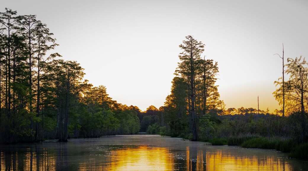 A river reflecting the trees and sky during sunset.