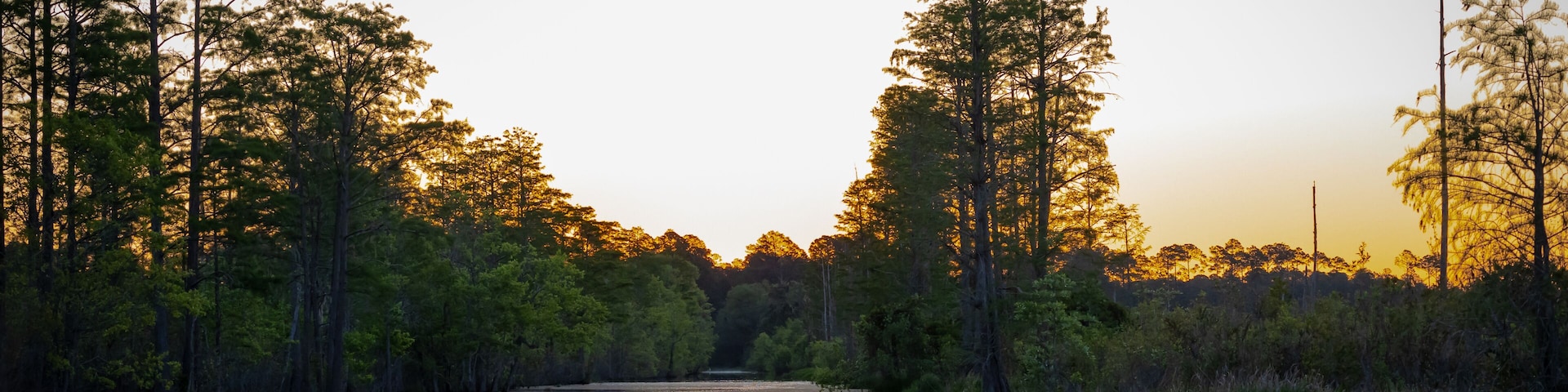 Un río reflejando árboles y cielo al atardecer.