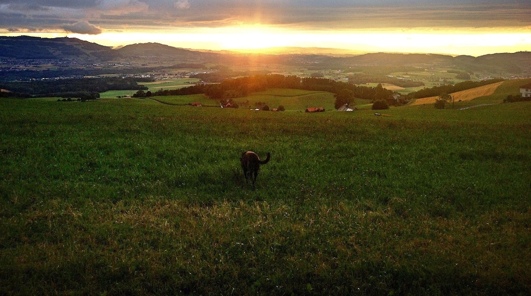 Der Sonnenuntergang ist im Sommer fast jeden abend ein Spektakel. Grillplätze am laufmeter und die Aussicht ist der Wahnsinn.