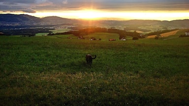Der Sonnenuntergang ist im Sommer fast jeden abend ein Spektakel. Grillplätze am laufmeter und die Aussicht ist der Wahnsinn.