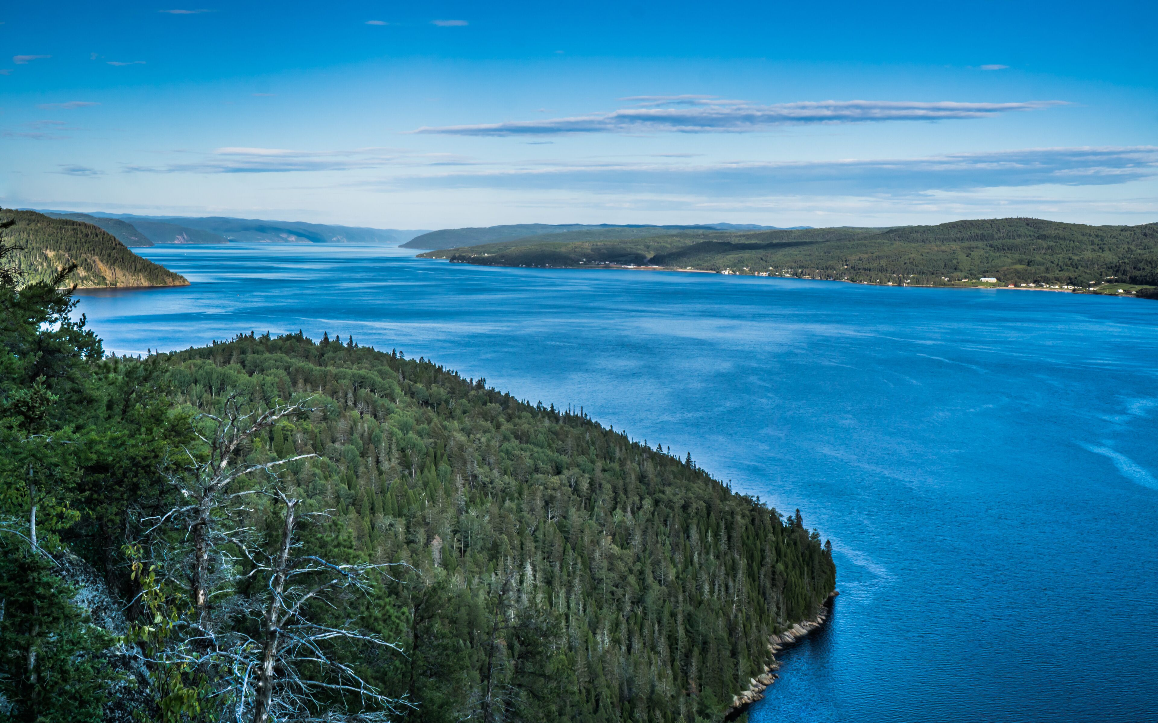 A coastal landscape with a forested peninsula and a calm blue sea.
