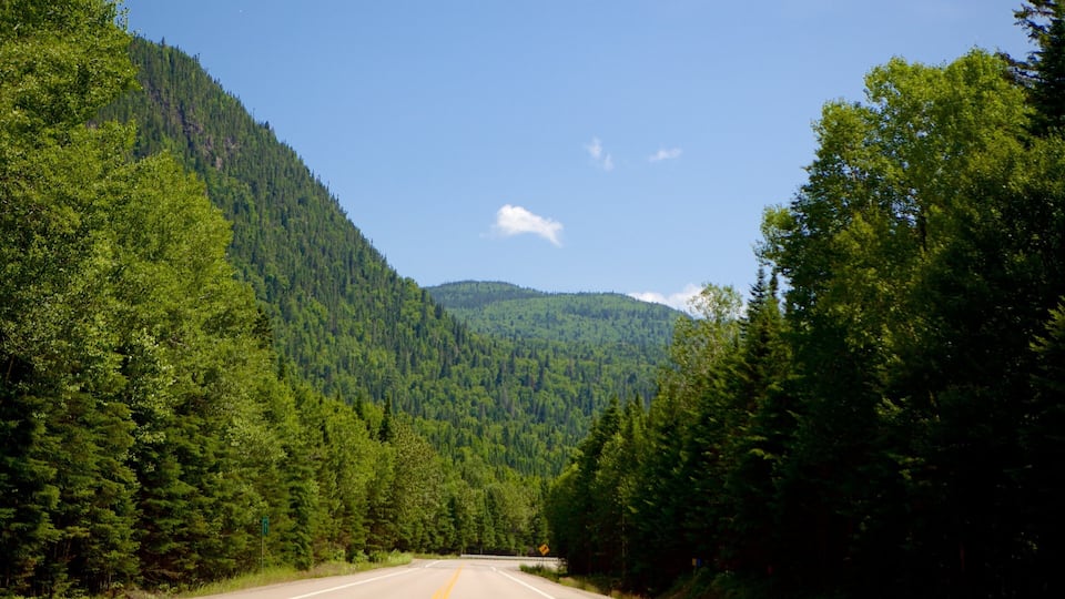 Carretera de dos carriles bordeada por bosques densos y montañas bajo un cielo despejado.