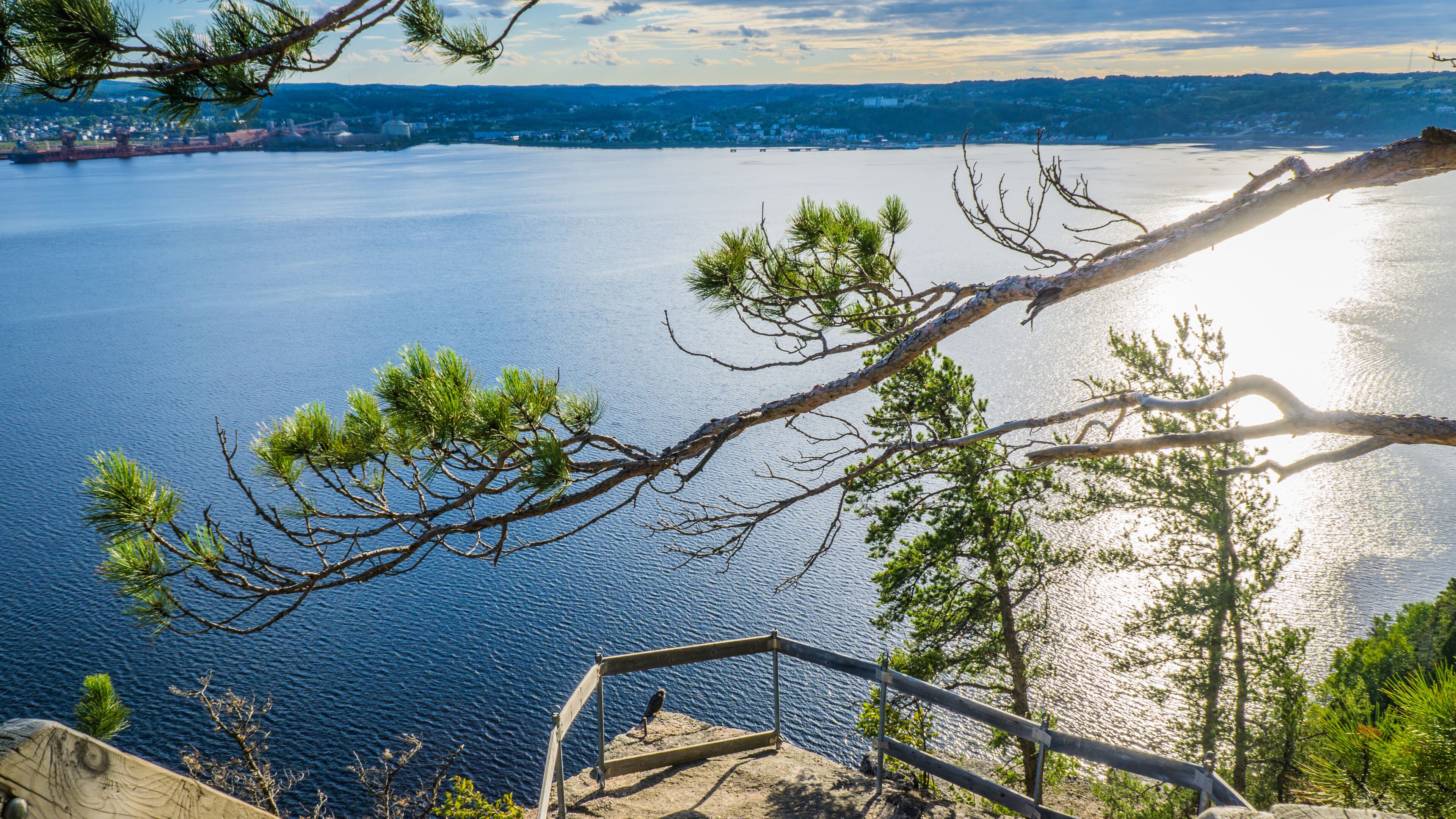 A coastal landscape with a clear view of the sea, a wooden staircase leading down to the water, and a pine tree branch in the foreground.