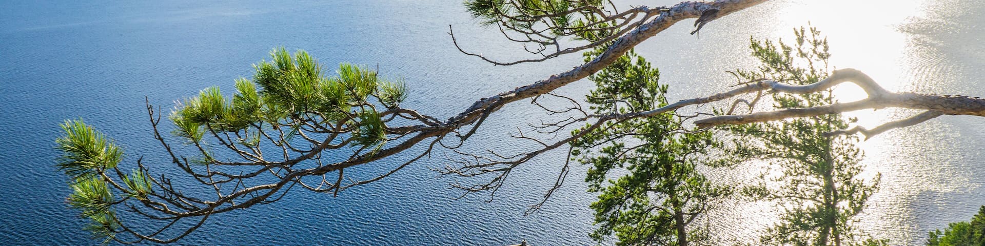 A coastal landscape with a clear view of the sea, a wooden staircase leading down to the water, and a pine tree branch in the foreground.