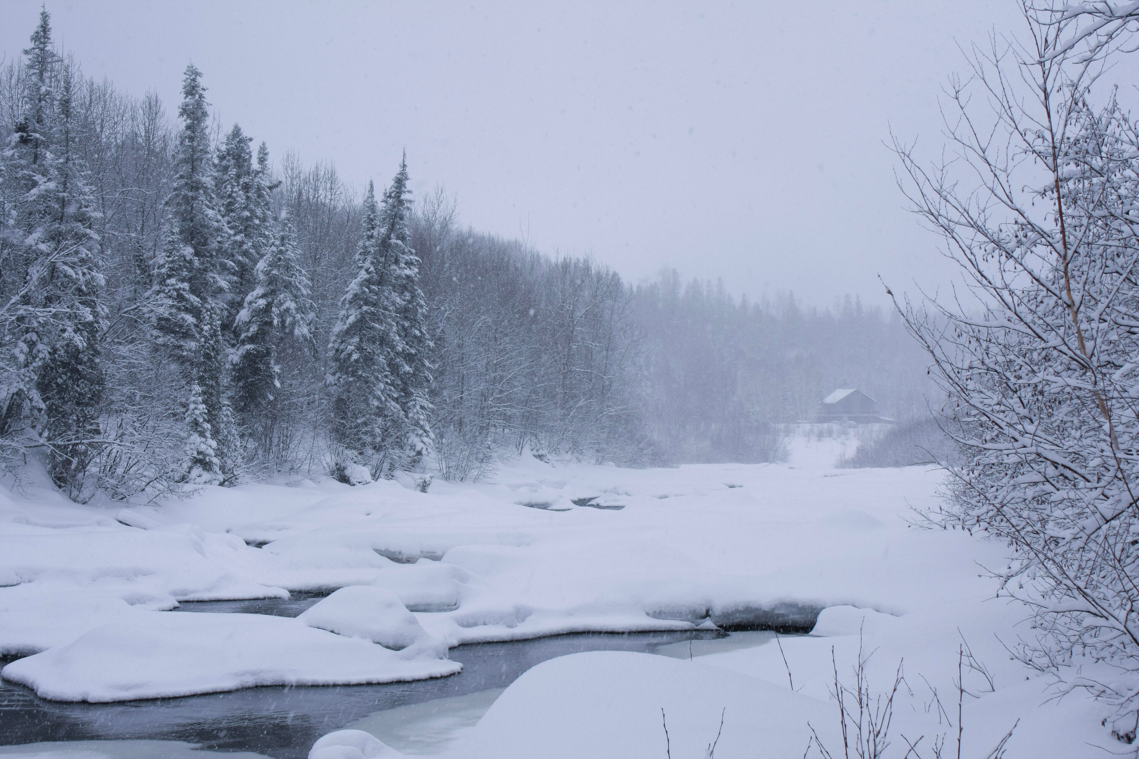 Tempête de neige au Saguenay, Québec, Canada